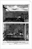 Experiment Showing Animal Magnetism by Anonymous