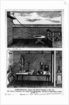 Experiment Showing Animal Magnetism by Anonymous