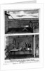 Experiment Showing Animal Magnetism by Anonymous