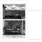 Experiment Showing Animal Magnetism by Anonymous