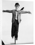 Scarecrow with Crow on His Shoulder by Anonymous