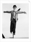 Scarecrow with Crow on His Shoulder by Anonymous