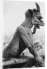 Gargoyle on Notre Dame Cathedral by Anonymous