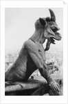 Gargoyle on Notre Dame Cathedral by Anonymous