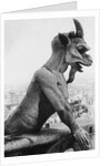 Gargoyle on Notre Dame Cathedral by Anonymous