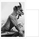 Gargoyle on Notre Dame Cathedral by Anonymous