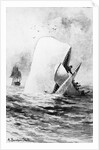 Illustration of the White Whale by A. Burnham Shute