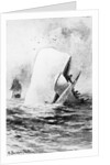 Illustration of the White Whale by A. Burnham Shute