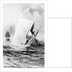 Illustration of the White Whale by A. Burnham Shute