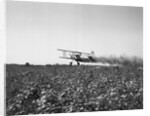 Crop Dusting Plane Flies Over Field by Anonymous