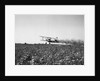 Crop Dusting Plane Flies Over Field by Anonymous