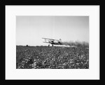 Crop Dusting Plane Flies Over Field by Anonymous