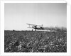 Crop Dusting Plane Flies Over Field by Anonymous