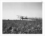 Crop Dusting Plane Flies Over Field by Anonymous
