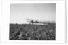 Crop Dusting Plane Flies Over Field by Anonymous