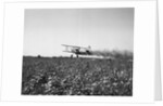 Crop Dusting Plane Flies Over Field by Anonymous