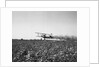 Crop Dusting Plane Flies Over Field by Anonymous