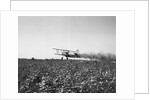 Crop Dusting Plane Flies Over Field by Anonymous
