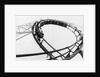 Car Going Through Roller Coaster Loop by Anonymous