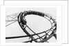 Car Going Through Roller Coaster Loop by Anonymous