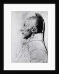 Profile Drawing Of Chief Of The Osages by Anonymous