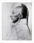 Profile Drawing Of Chief Of The Osages by Anonymous