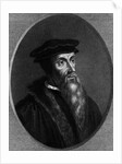 John Calvin In Undated Engraving by Anonymous