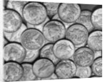 American "Liberty" Silver Dollars by Anonymous