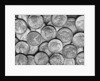 American "Liberty" Silver Dollars by Anonymous