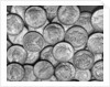 American "Liberty" Silver Dollars by Anonymous