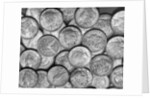 American "Liberty" Silver Dollars by Anonymous
