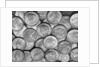 American "Liberty" Silver Dollars by Anonymous