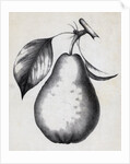 Lithograph Of Bartlett Pear by Anonymous