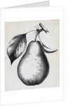 Lithograph Of Bartlett Pear by Anonymous