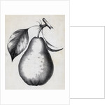 Lithograph Of Bartlett Pear by Anonymous