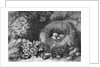 Engraving Of A Bird'S Nest With Eggs by Anonymous