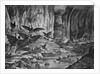 Lunar Animals And Other Objects by Anonymous