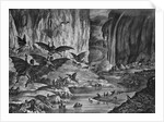 Lunar Animals And Other Objects by Anonymous