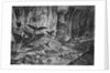 Lunar Animals And Other Objects by Anonymous