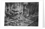 Lunar Animals And Other Objects by Anonymous