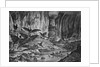 Lunar Animals And Other Objects by Anonymous