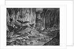 Lunar Animals And Other Objects by Anonymous