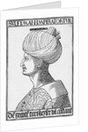 Profile Of Suleiman The Great by Anonymous