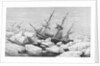 Sir James Clark Ross Antarctic Expedition by Anonymous