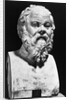 Portrait Bust Of Socrates by Anonymous