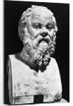 Portrait Bust Of Socrates by Anonymous