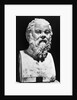 Portrait Bust Of Socrates by Anonymous