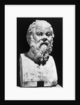 Portrait Bust Of Socrates by Anonymous