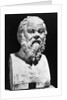 Portrait Bust Of Socrates by Anonymous