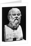 Portrait Bust Of Socrates by Anonymous